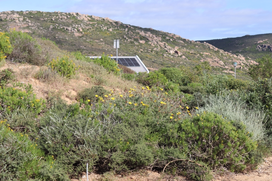 0 Bedroom Property for Sale in Steenbergs Cove Western Cape